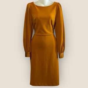 Elegant Orange Long Sleeve Dress